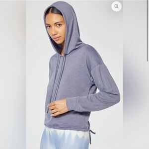 Wildfox sweat Women's Grey Shayla Hoodie medium NWT